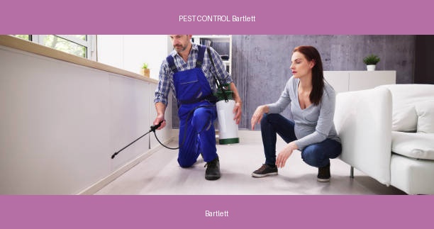 PEST CONTROL Bartlett
